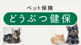 ペット保険
